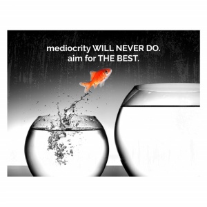 Tablou Motivational - Mediocrity Will Never Do - Img 4
