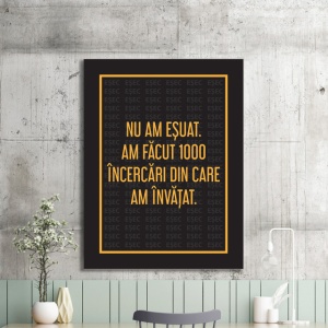 Tablou Motivational - Nu Am Esuat - Img 2