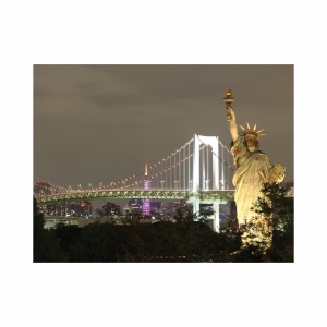 Tablou Office - Statue Of Liberty At Night - Img 2