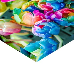 Tabloul Canvas Efect Pictura Lalele Multicolore - Img 2