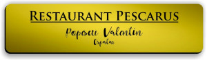 Ecuson personalizat gravat cu nume si/sau logo 8x2cm, auriu - Img 3