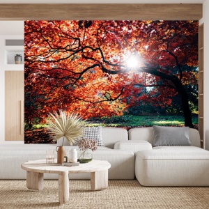 Foto tapet Autumn tree
