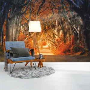 Foto tapet Fairytales trees - Img 3