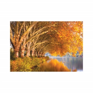 Foto tapet Trees along the lake - Img 2