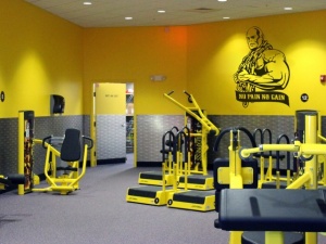Sticker De Perete No Pain No Gain - Img 2