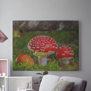 Tablou Canvas Ciuperci Rosii