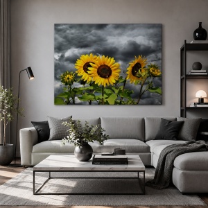 Tablou Canvas Floarea Soarelui In Furtuna