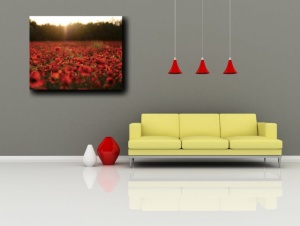 Tablou Canvas - Lan De Maci - Img 2