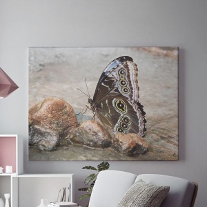 Tablou Canvas On The Wings Of A Butterfly