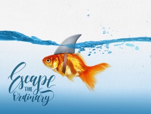 Tablou Motivational - Escape The Ordinary - Img 4