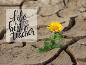 Tablou Motivational - Life Is The Best Teacher - Img 3