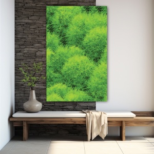 Tablou Vegetatie - Tufis decorativ (013) - Img 4