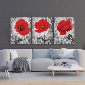 3 Tablouri Canvas - Set de maci rosii - Img 2