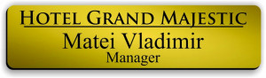 Ecuson personalizat gravat cu nume si/sau logo 8x2cm, auriu - Img 4