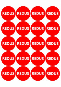 Etichete personalizate cu REDUS, 100 buc, PVC, rezistente la apa - Img 2