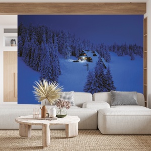Foto tapet Winter night - Img 3