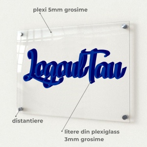 Sigla din plexiglass decupata pe contur pe baza de plexi transparent 50x30cm - Img 2
