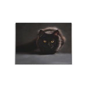 Tablou Canvas Black Cat - Img 2