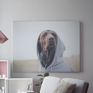 Tablou Canvas Caine Cu Hanorac