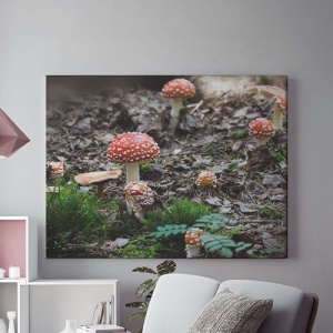 Tablou Canvas Ciuperci