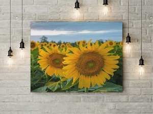 Tablou Canvas Doua Surori - Img 3