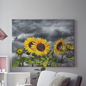 Tablou Canvas Floarea Soarelui In Furtuna