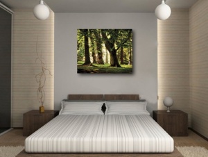 Tablou Canvas - Padurea - Img 2