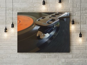 Tablou Canvas Vinyl Close-up - Img 2