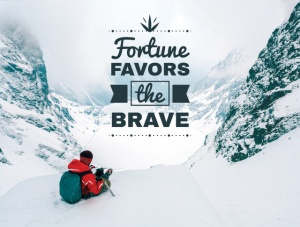 Tablou Motivational - Fortune Favors The Brave - Img 3