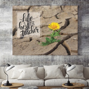 Tablou Motivational - Life Is The Best Teacher - Img 4
