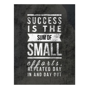 Tablou Motivational - Success Is The Sum Of Small Efforts - Img 4