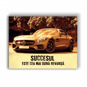 Tablou Motivational - Succesul Este Cea Mai Buna Revansa - Img 4
