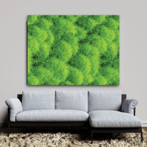 Tablou Vegetatie - Tufis decorativ (013) - Img 5