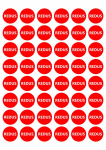 Etichete personalizate cu REDUS, 100 buc, PVC, rezistente la apa - Img 3