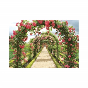 Foto tapet Roses - Img 3