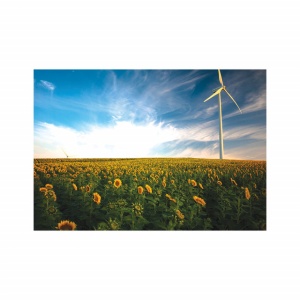 Foto tapet Sunflowers - Img 2