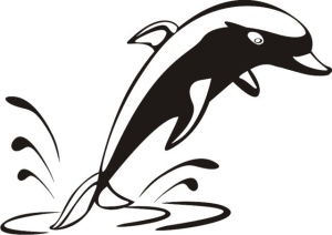 Sticker De Perete Delfin - Img 3