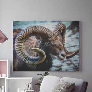 Tablou Canvas - Berbec