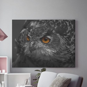 Tablou Canvas Black Owl