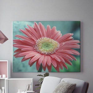 Tablou Canvas Gerbera