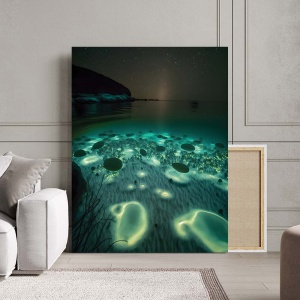 Tablou Canvas - Glowing Subacvatic Vegetation - Img 2