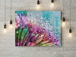 Tablou Canvas Picaturi De Roua - Img 2