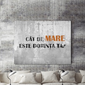 Tablou Motivational - Cat De Mare Este Dorinta Ta - Img 2