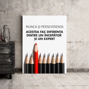 Tablou Motivational - Diferenta Dintre Incepator Si Expert - Img 3