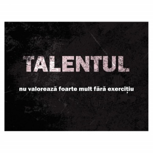 Tablou Motivational - Talentul Nu Valoreaza Foarte Mult - Img 4