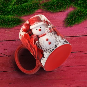 Cana De Craciun - Snowman and Red Flowers