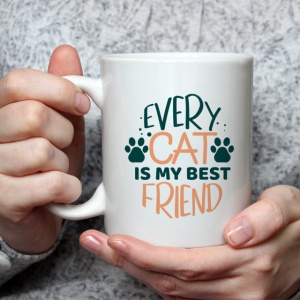 Cana Every cat is my best friend - Img 3