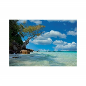 Foto tapet Deep blue beach - Img 2