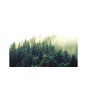 Foto tapet Misty mountains - Img 2