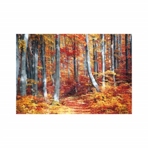 Foto tapet Simply autumn - Img 3